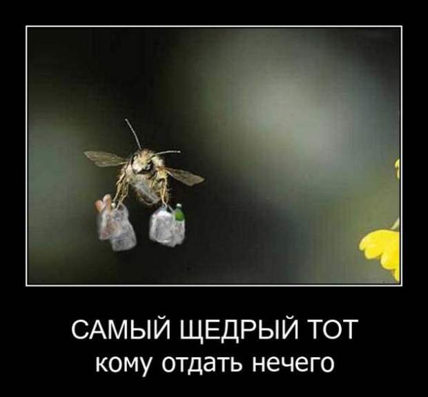 Демотиваторы от 29.09.11