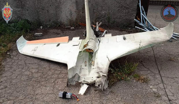 Взрывотехники регионального управления ФСБ успешно обезвредили подавленные беспилотники. Фото: скриншот видео / УФСБ по ДНР