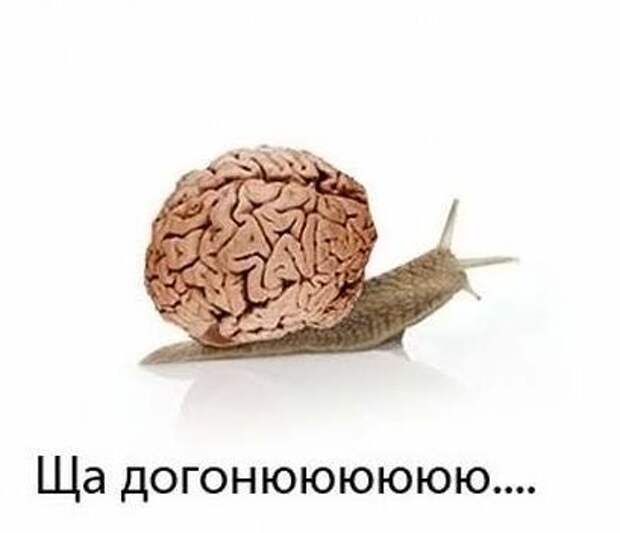 Давайте улыбаться вместе :) (25поводов)