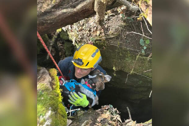 В США собака провалилась в 12-метровую пещеру и была спасена пожарными