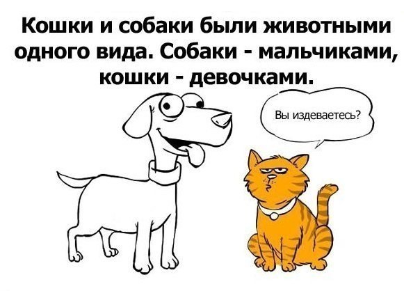 Когда Вы были ребенком