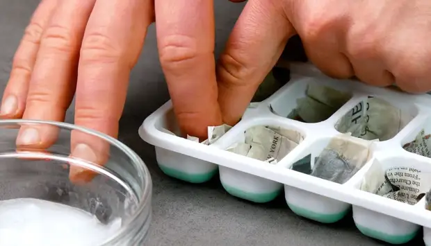 Живые цветы в интерьере: 4 оригинальные идеи для весеннего декора