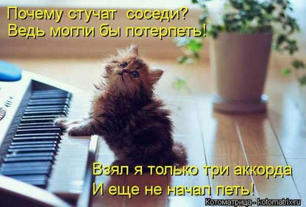 Котоматрицы(картинки с надписями)