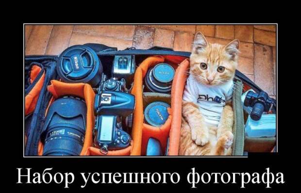 Демотиваторы бревно, демотиваторы, юмор
