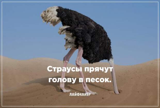 Невероятные научные факты