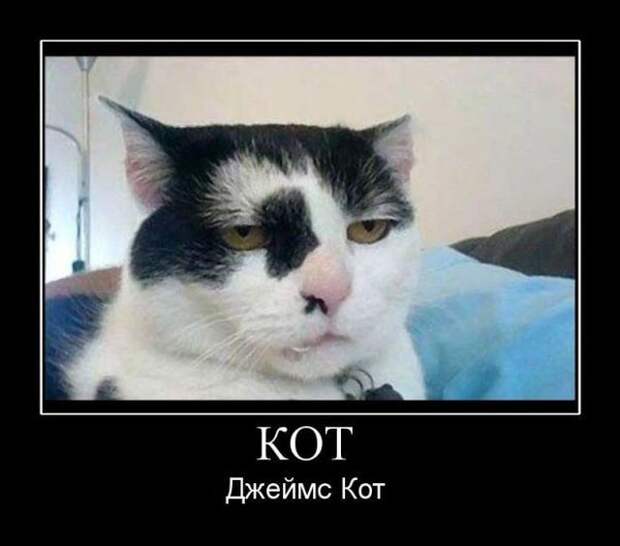 Демотиваторы (30 фото)
