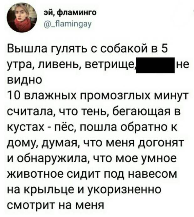 Подборка картинок. Вечерний выпуск (20 фото)