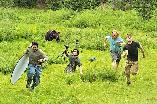 Из жизни фотографов курьезы, приключения, природа, репортаж, риск, фотография, фотографы, фоторепортаж