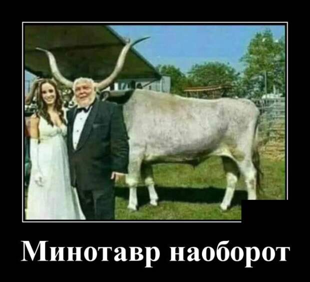 Демотиваторы (30 фото)