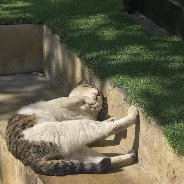 h2srF1px0x0 (700x700, 437Kb)