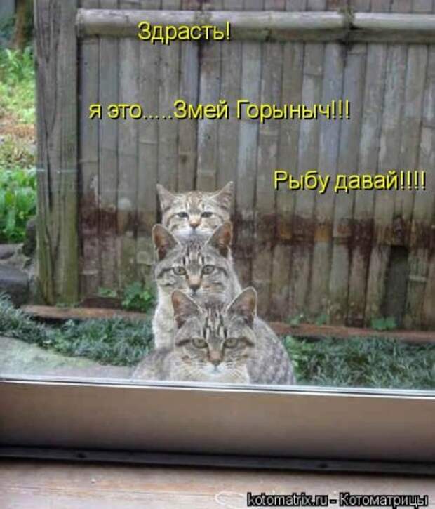 Картинка 24 из 69737