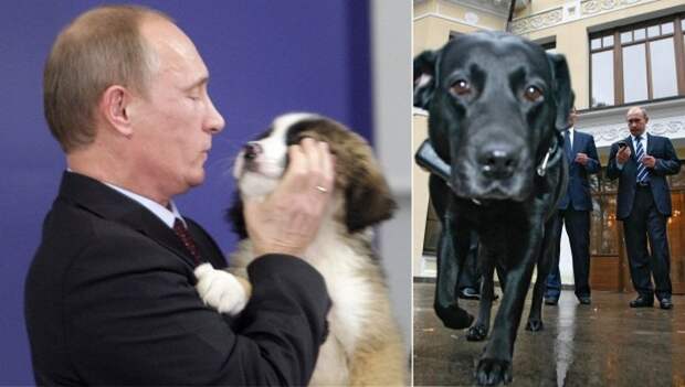 Что дарят Владимиру Путину