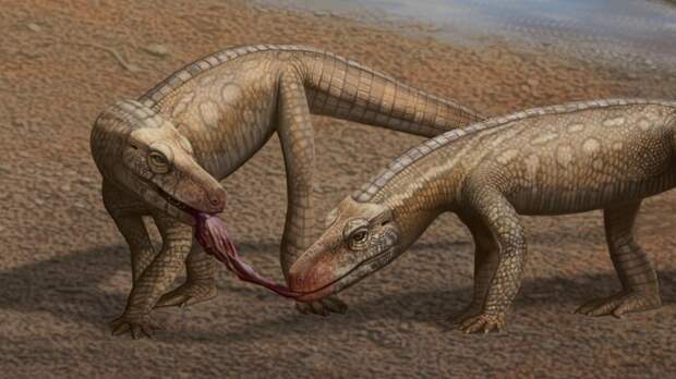 В Бразилии обнаружили древнюю рептилию возрастом 237 миллионов лет