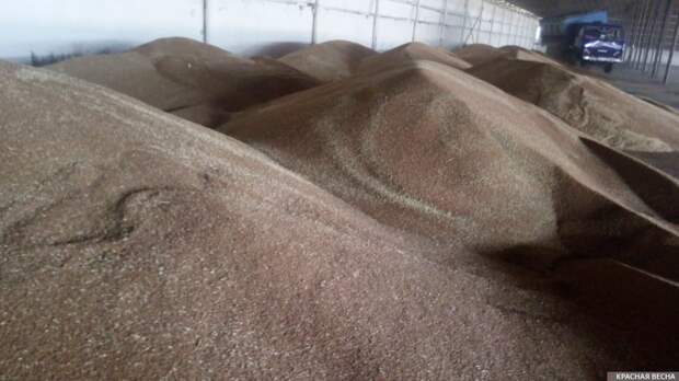 В Ленинградской области открыли крупнейший зерновой терминал