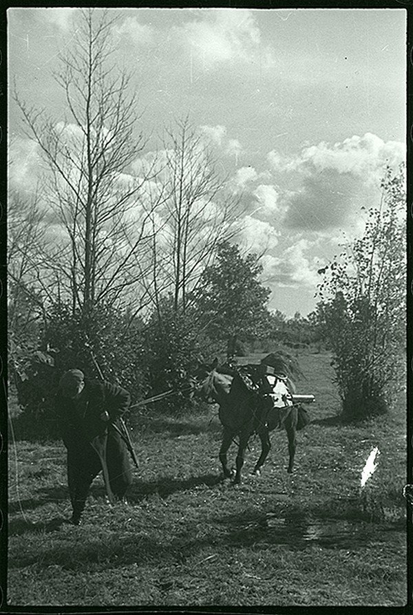 Партизаны с пулеметами на высоте. Ленинградская область, 1942. Великая Отечественная война, СССР, история