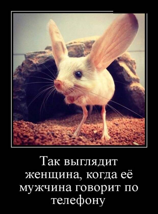 Демотиваторы (30 фото)