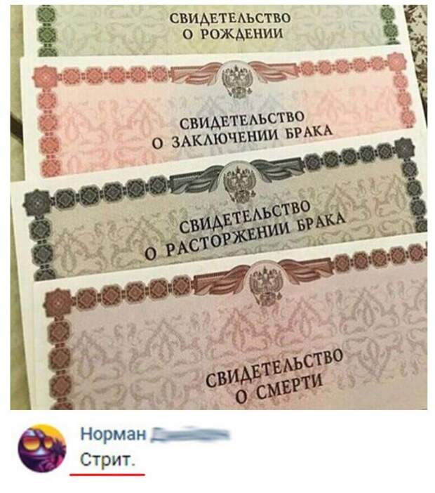 Подборка картинок (20 фото)