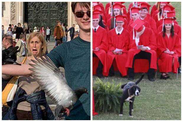 20 фотографий, которые были сделаны в самый подходящий момент