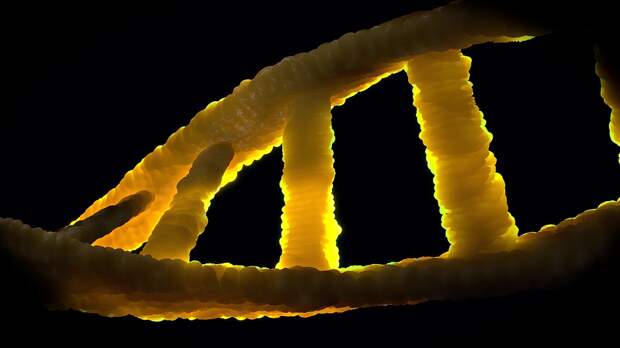 ДНК.jpg