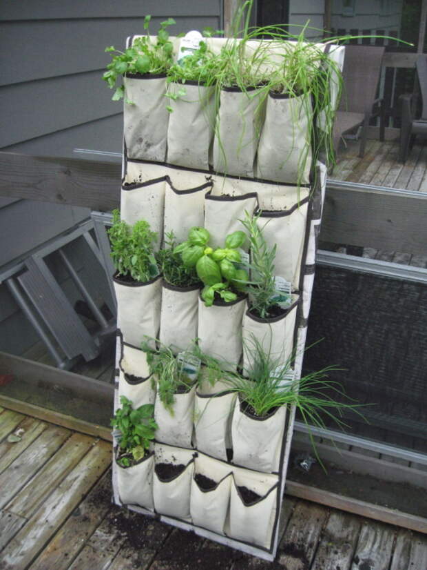 Плетённый органайзер для обуви и других мелких предметов можно использовать для выращивания растений как дома, так и на дачном участке.