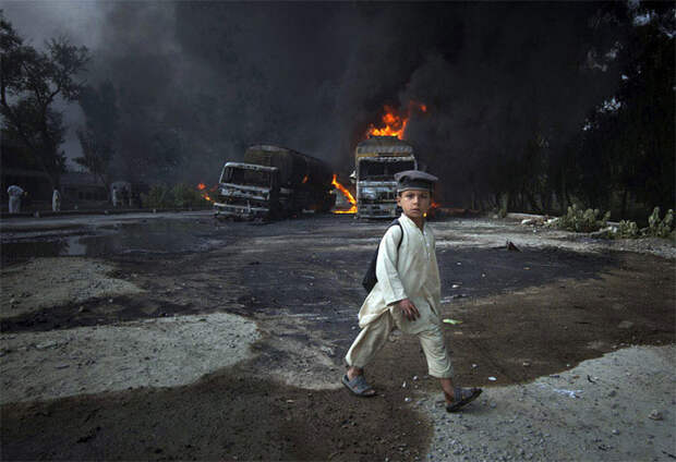 Лучшие снимки Reuters 2011
