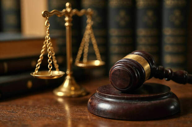 Суд арестовал Шлосберга* за фейки об армии