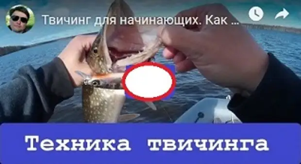 Твичинг для начинающих