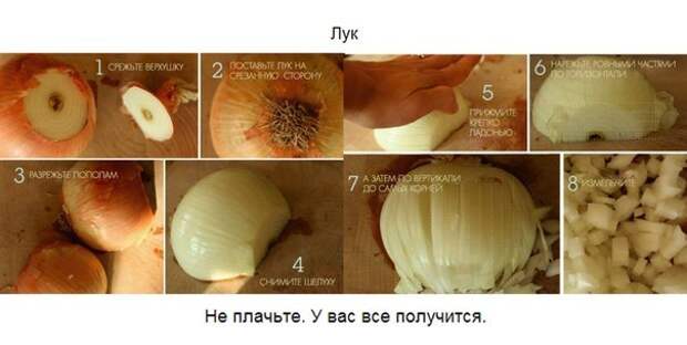 Продукты, которые мы неправильно резали всю свою жизнь Продукты, которые мы неправильно резали всю свою жизнь