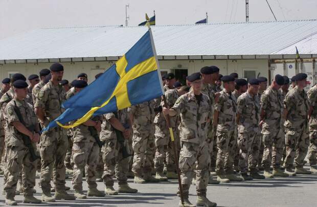 В МИД России прокомментировали шведский проект оборонной стратегии