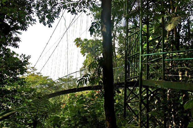 Подвесные мосты не для слабонервных Insane Hanging Bridges 19 Подвесные мосты не для слабонервных