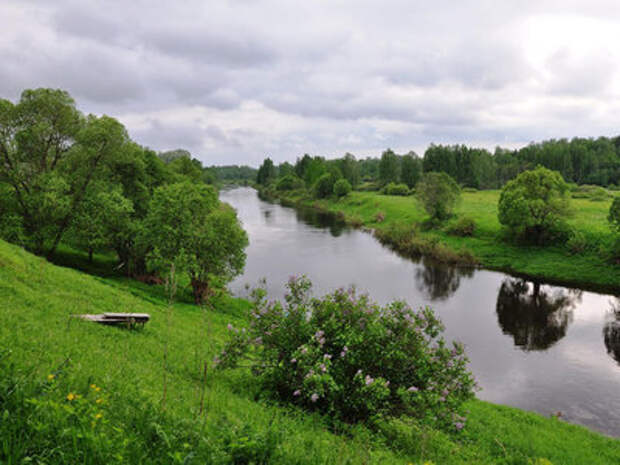 Реки смоленской области фото