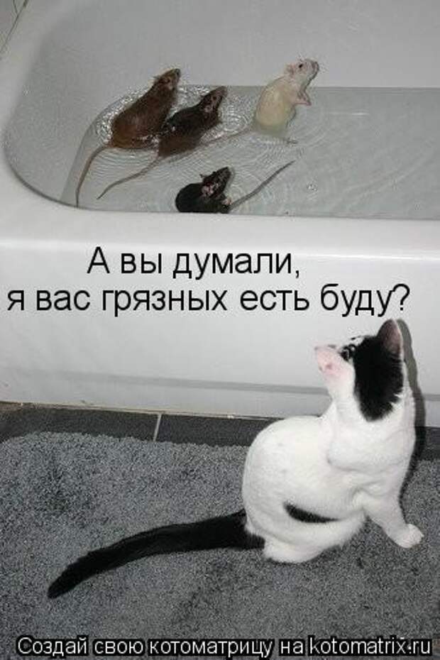 А вы думали, я вас грязных есть буду?