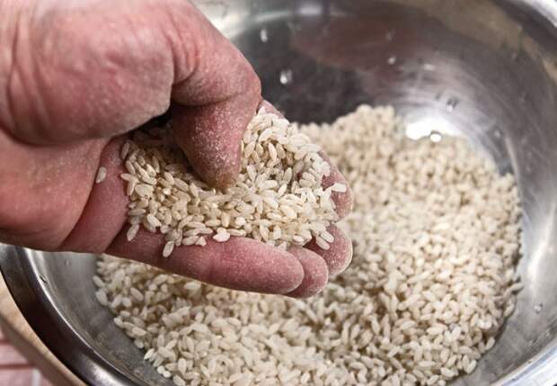 подготовка риса для маставы