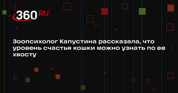 Зоопсихолог Капустина рассказала, что уровень счастья кошки можно узнать по ее хвосту