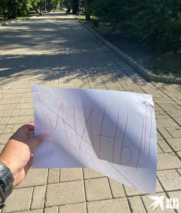 Украина, применяя мины-лепестки, нарушает сразу две конвенции и один Протокол