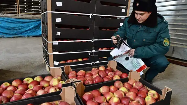 «Люди останутся»: грозит ли России дефицит кофе