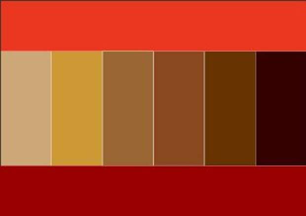 brown1.jpg