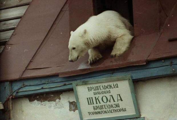 Просто фото.