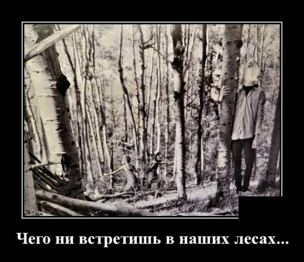 Демотиваторы смешные