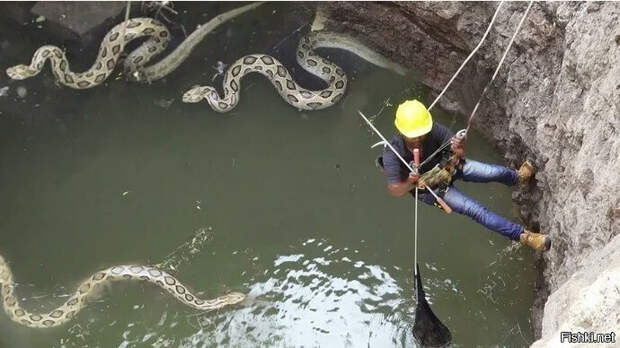 7516d13018311ba2440e2139419b61ae (690x388, 164Kb)