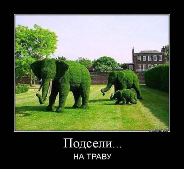 Новые прикольные демотиваторы (38 шт)