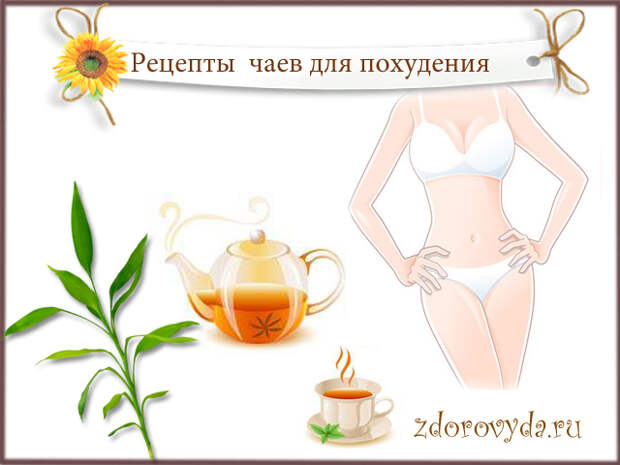 травяной чай для похудения