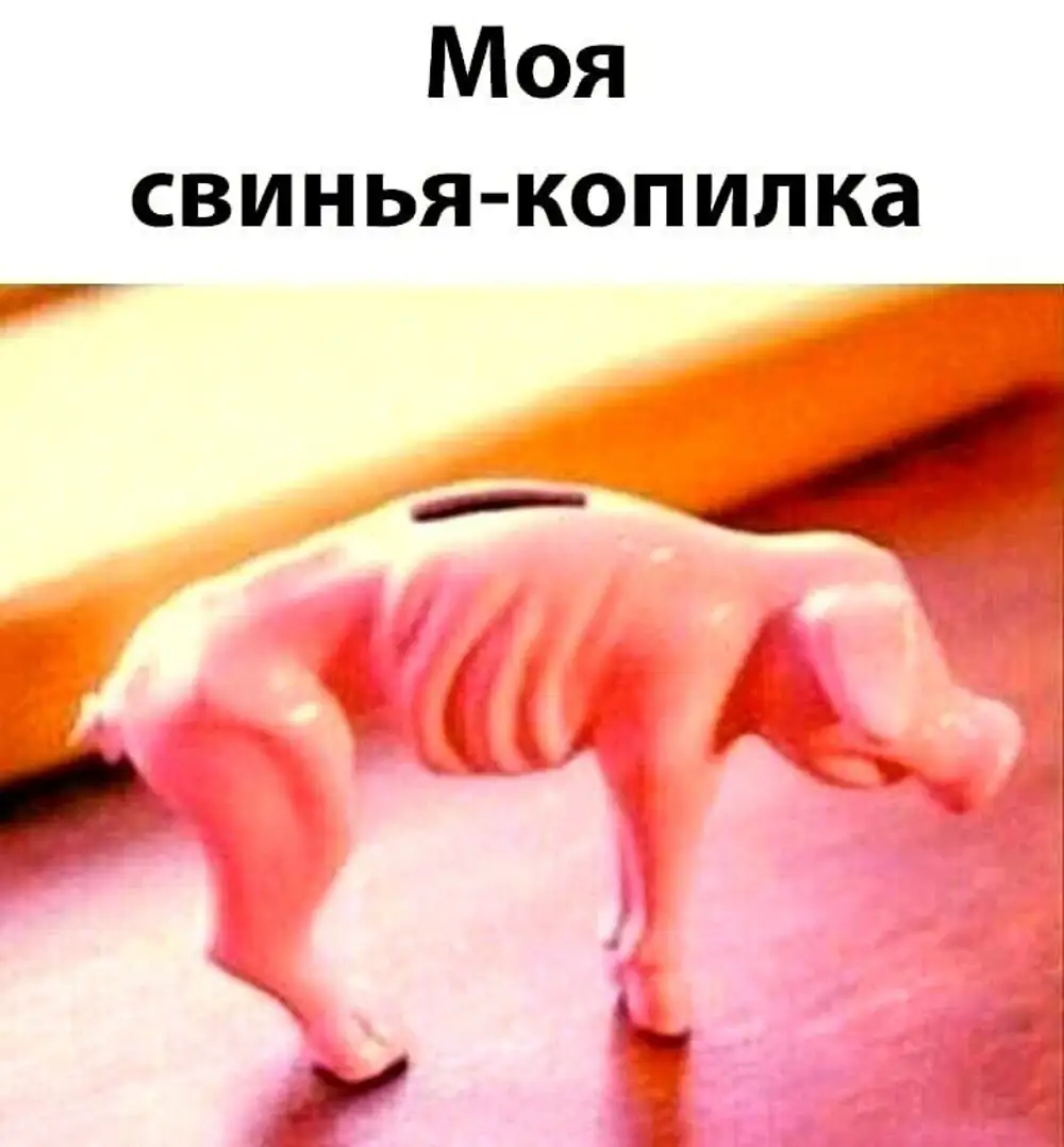 Моя свинья