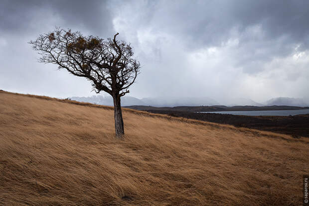 Tierra del Fuego