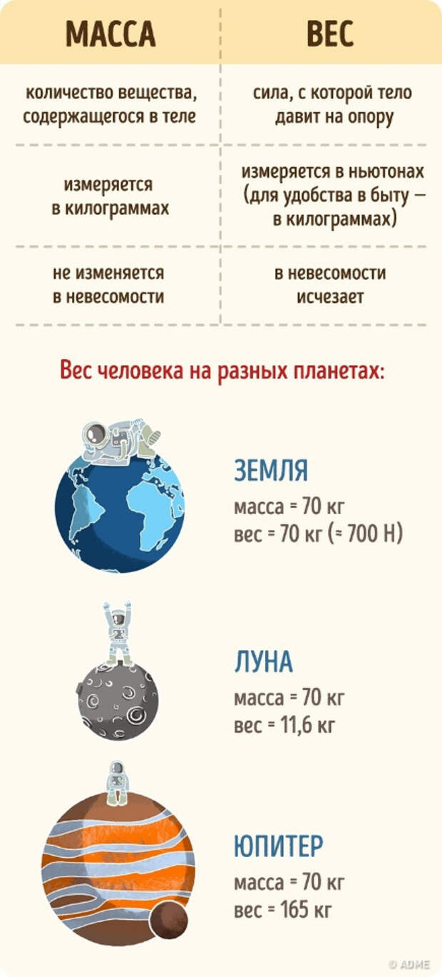 Понятия вес и масса. 10 простейших вещей, которые мы путаем еще со школы. Фото с сайта NewPix.ru