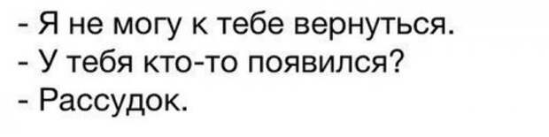 Свежие фото-приколы для всех (49 шт)