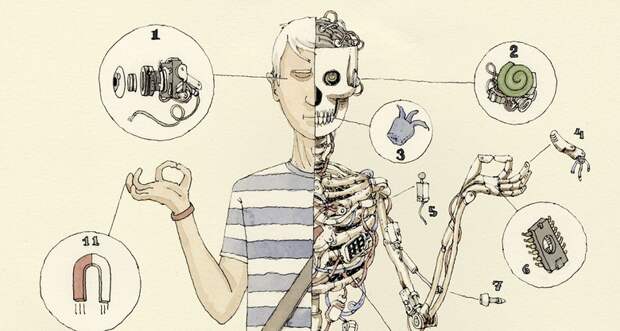 Модификации для человека: расширение возможностей