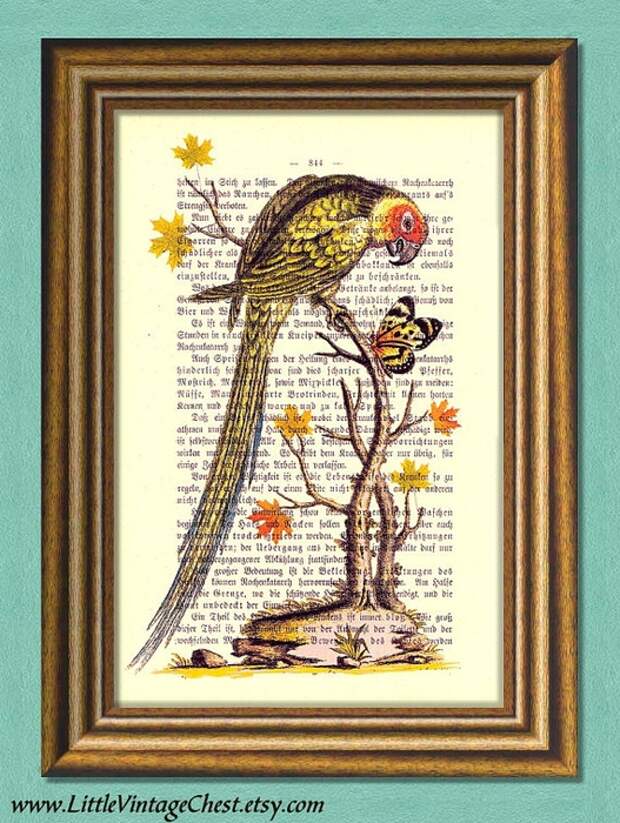 принты на книжных страницах (24) (527x700, 330Kb)