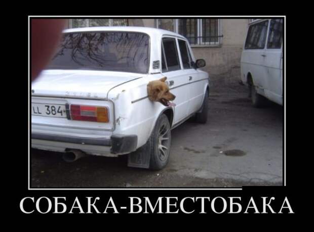 Демотиваторы и не только.
