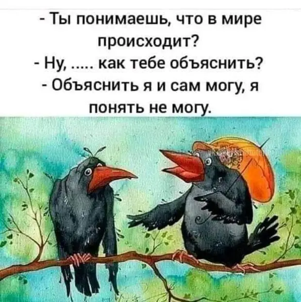 Настоящего аристократа всегда можно отличить по оттопыренному мизинчику во время драки с бомжами манекена, только, другую, будет, первый, ночью, второй, француз, рубашечка, прошлой, говорила, думаю, брючки, доченька, итальянец, холодильник, говорит, парень, наутро, серых
